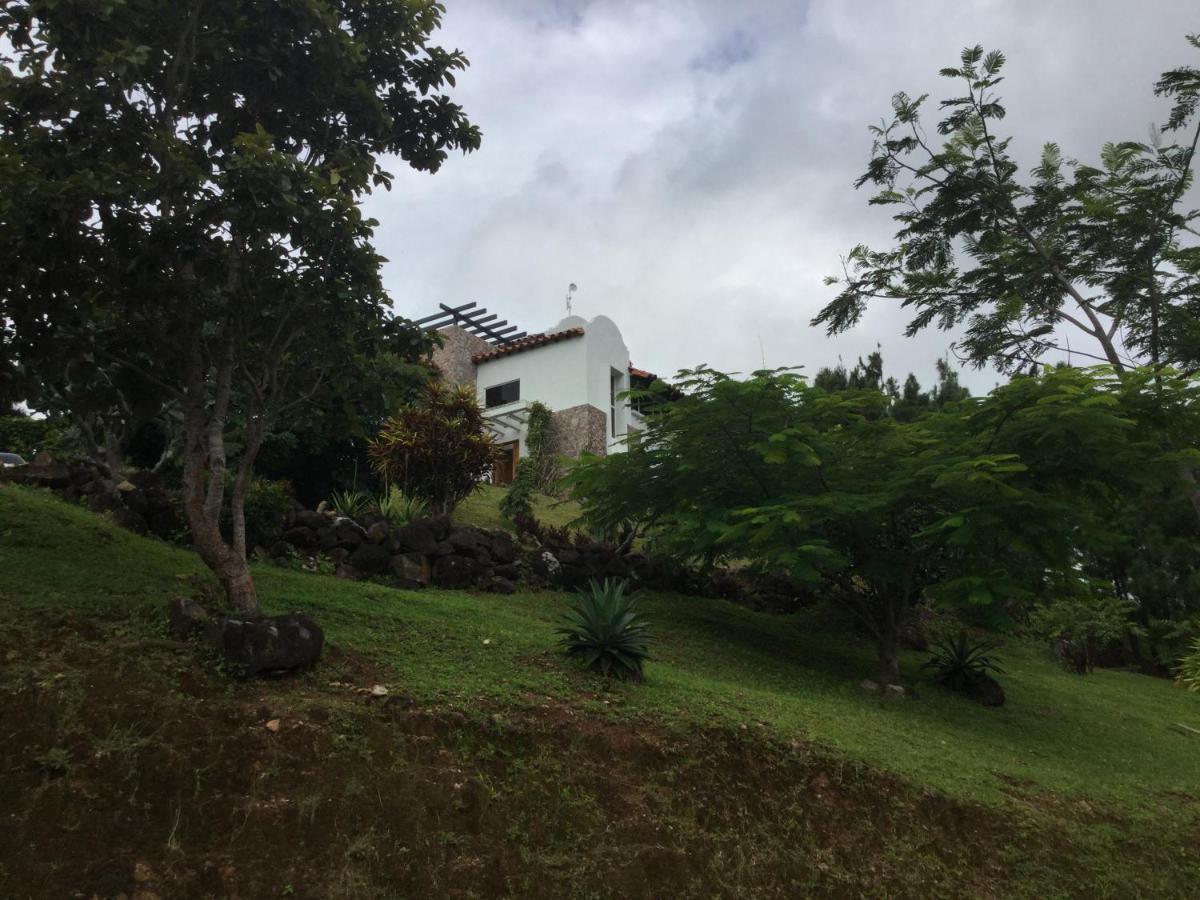 Hawk'S Nest Bed & Breakfast La Laguna de San Carlos Εξωτερικό φωτογραφία