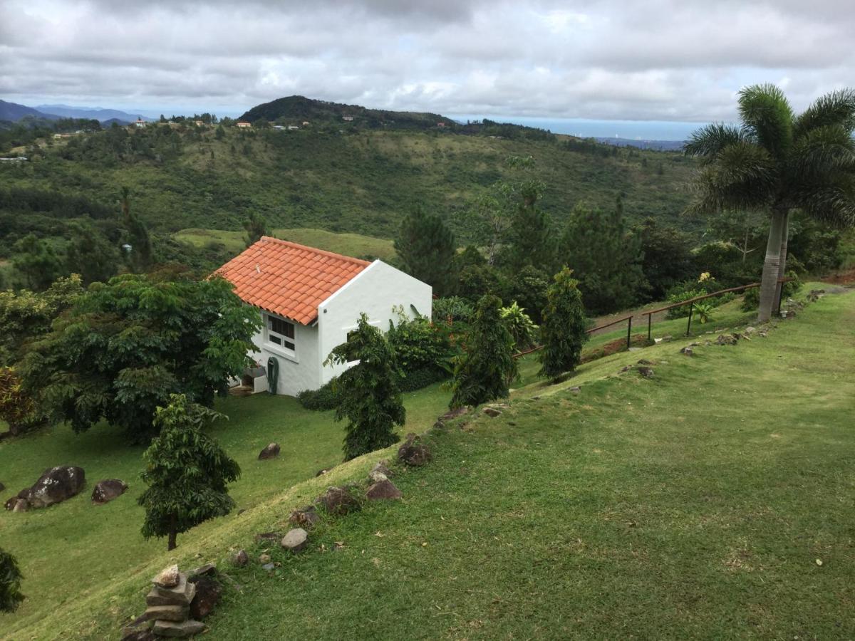 Hawk'S Nest Bed & Breakfast La Laguna de San Carlos Εξωτερικό φωτογραφία