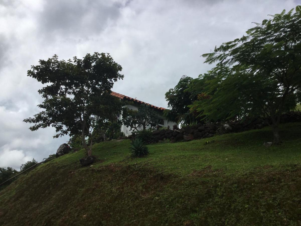 Hawk'S Nest Bed & Breakfast La Laguna de San Carlos Εξωτερικό φωτογραφία