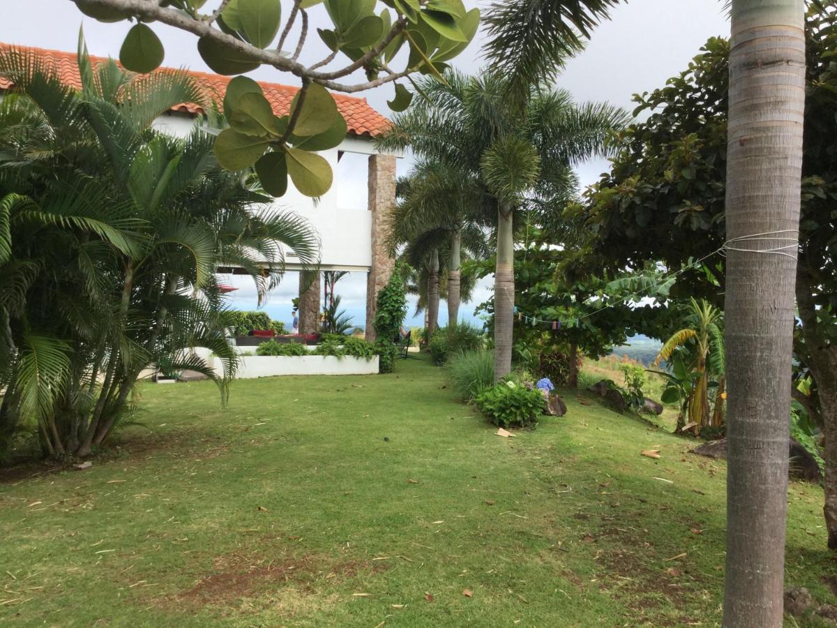 Hawk'S Nest Bed & Breakfast La Laguna de San Carlos Εξωτερικό φωτογραφία
