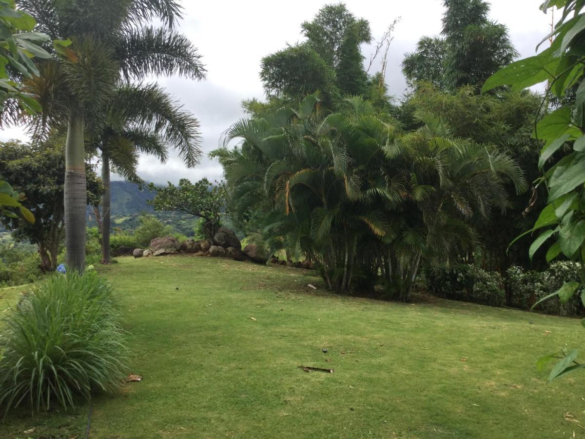 Hawk'S Nest Bed & Breakfast La Laguna de San Carlos Εξωτερικό φωτογραφία
