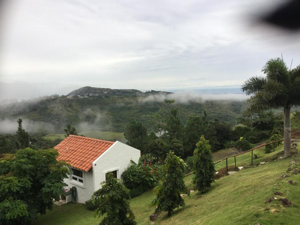 Hawk'S Nest Bed & Breakfast La Laguna de San Carlos Εξωτερικό φωτογραφία