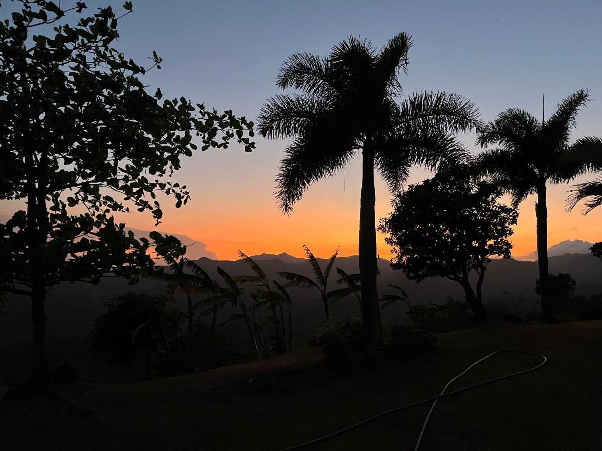 Hawk'S Nest Bed & Breakfast La Laguna de San Carlos Εξωτερικό φωτογραφία