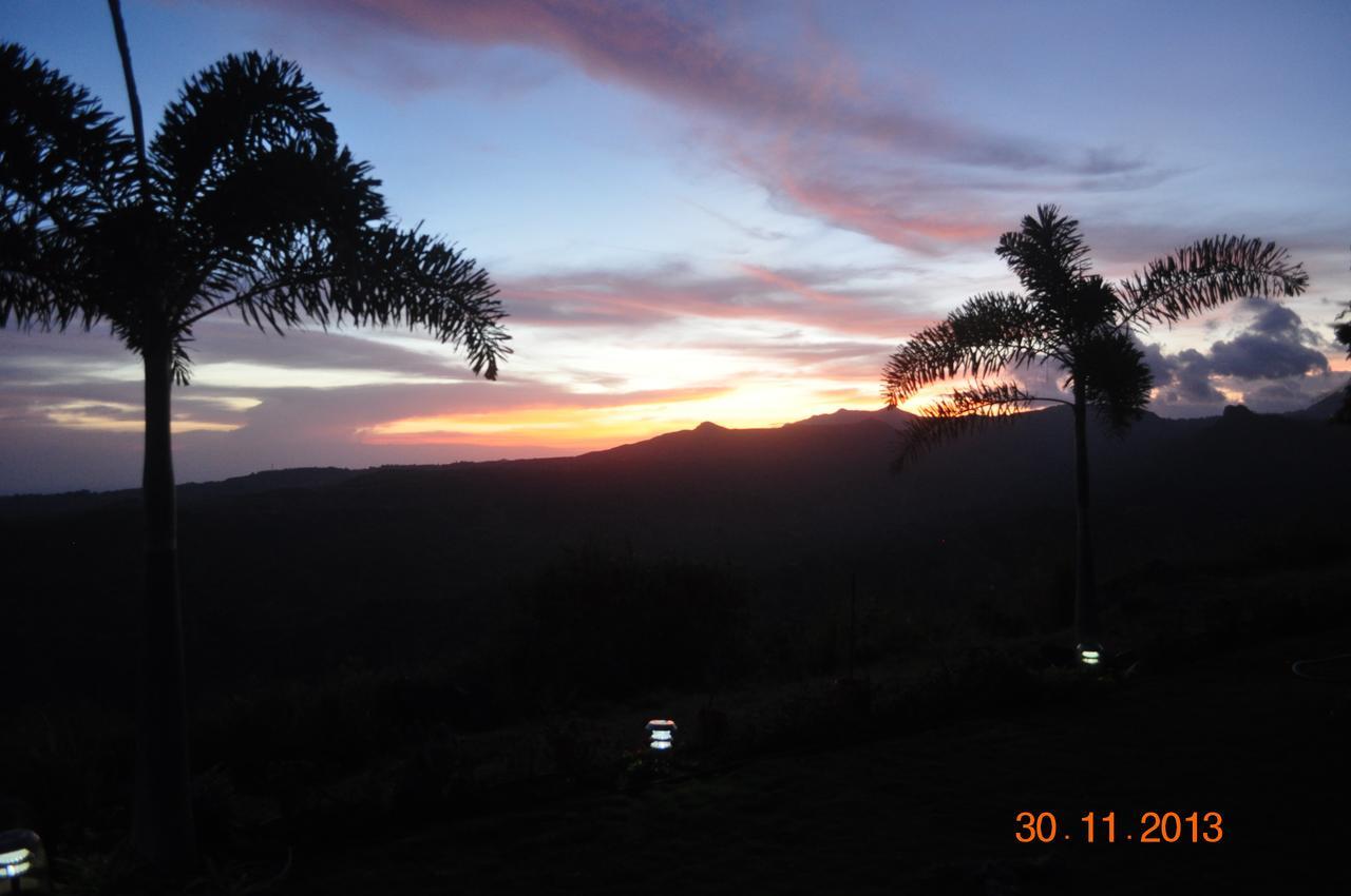 Hawk'S Nest Bed & Breakfast La Laguna de San Carlos Εξωτερικό φωτογραφία