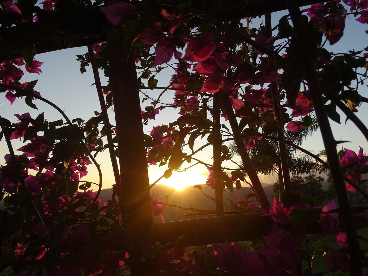 Hawk'S Nest Bed & Breakfast La Laguna de San Carlos Εξωτερικό φωτογραφία