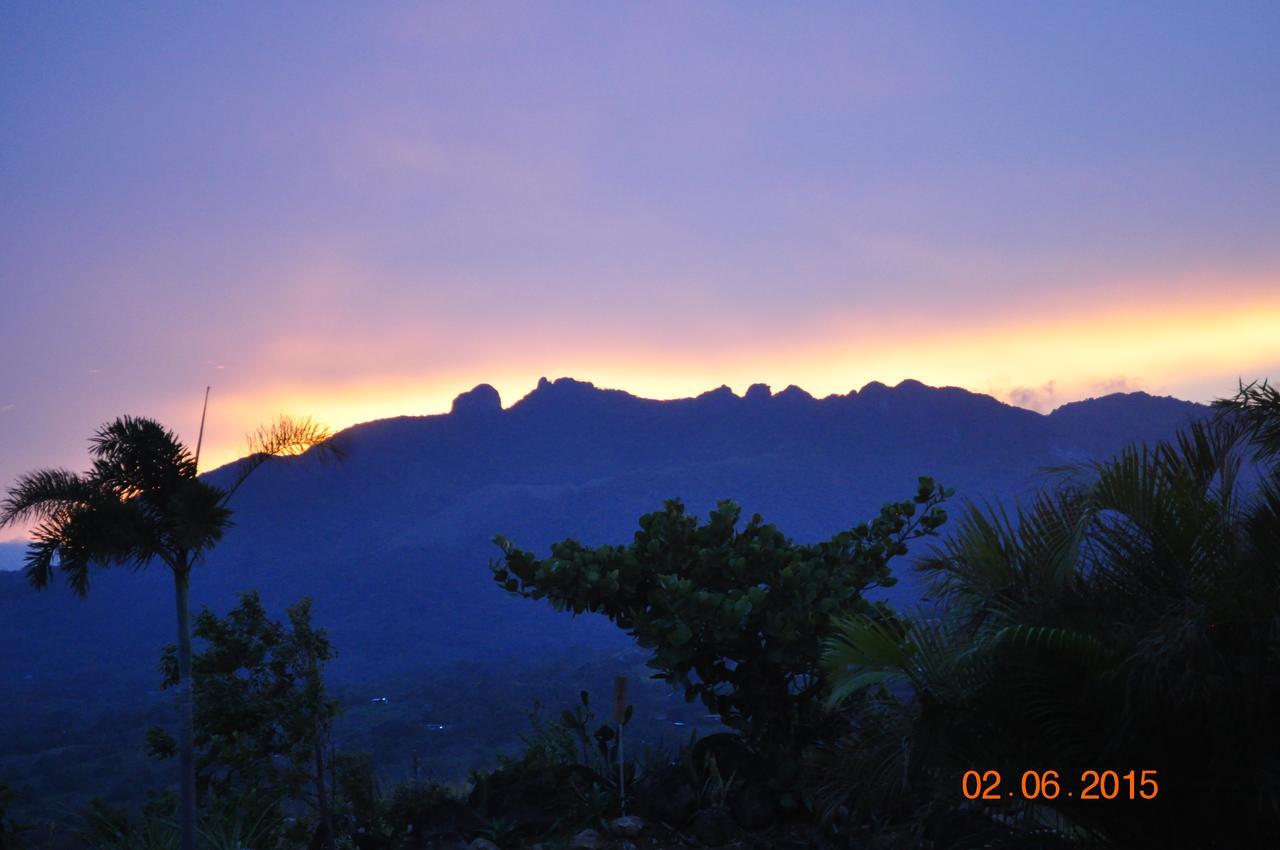 Hawk'S Nest Bed & Breakfast La Laguna de San Carlos Εξωτερικό φωτογραφία