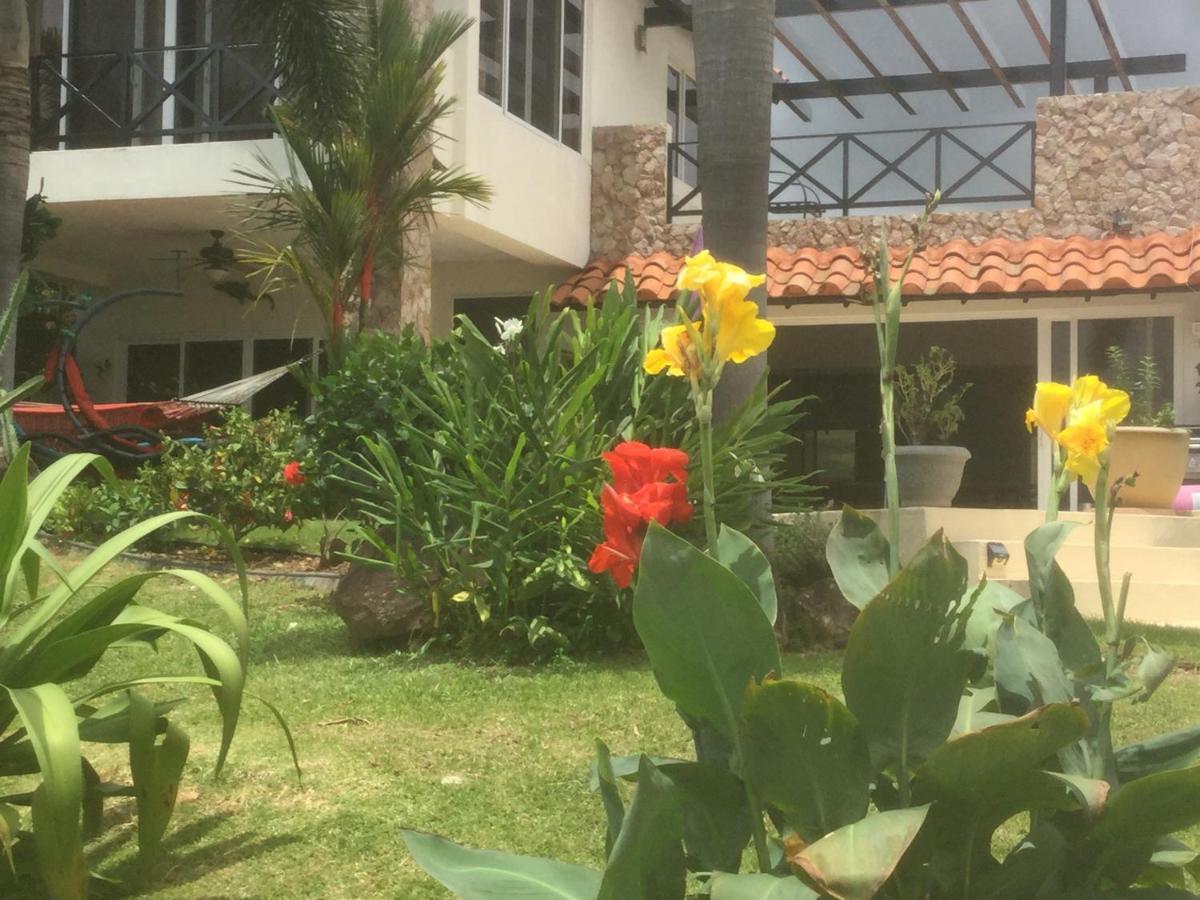 Hawk'S Nest Bed & Breakfast La Laguna de San Carlos Εξωτερικό φωτογραφία